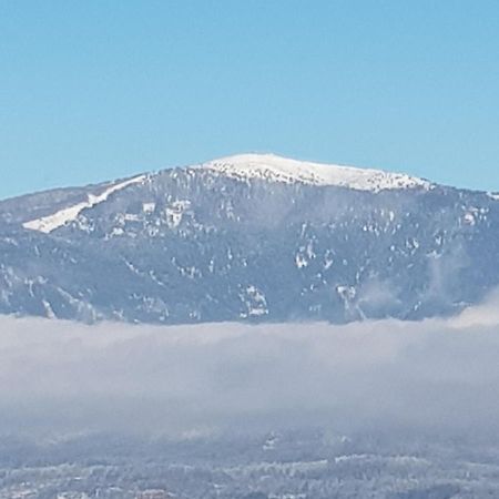 Alpe-Adria Apartments Chanel Top12 Oberaichwald  Εξωτερικό φωτογραφία