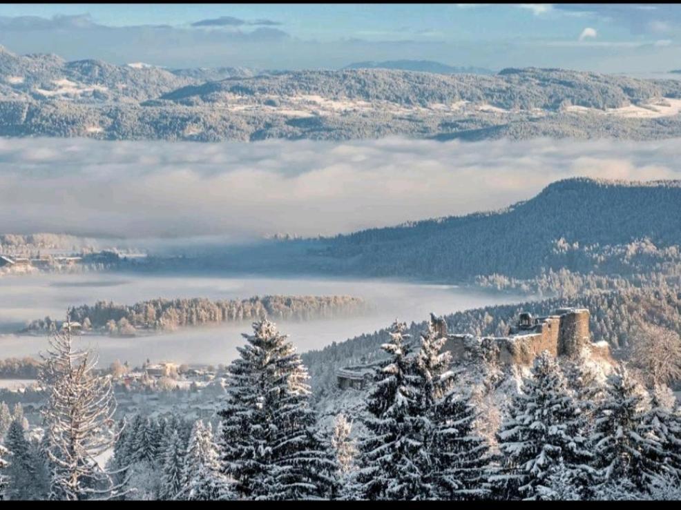 Alpe-Adria Apartments Chanel Top12 Oberaichwald  Εξωτερικό φωτογραφία