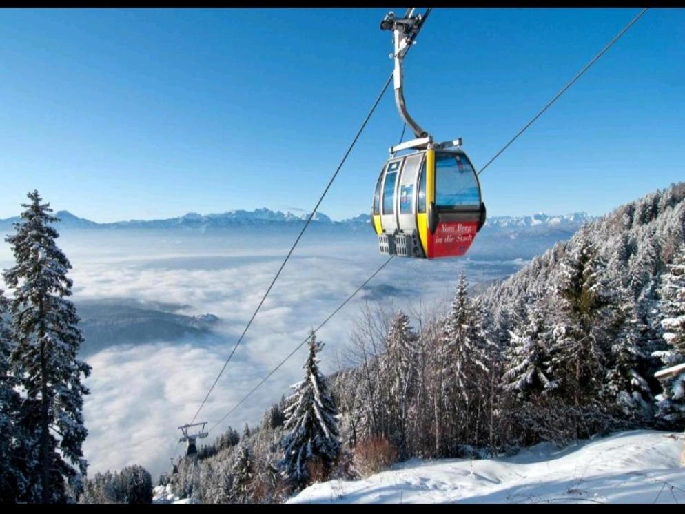 Alpe-Adria Apartments Chanel Top12 Oberaichwald  Εξωτερικό φωτογραφία