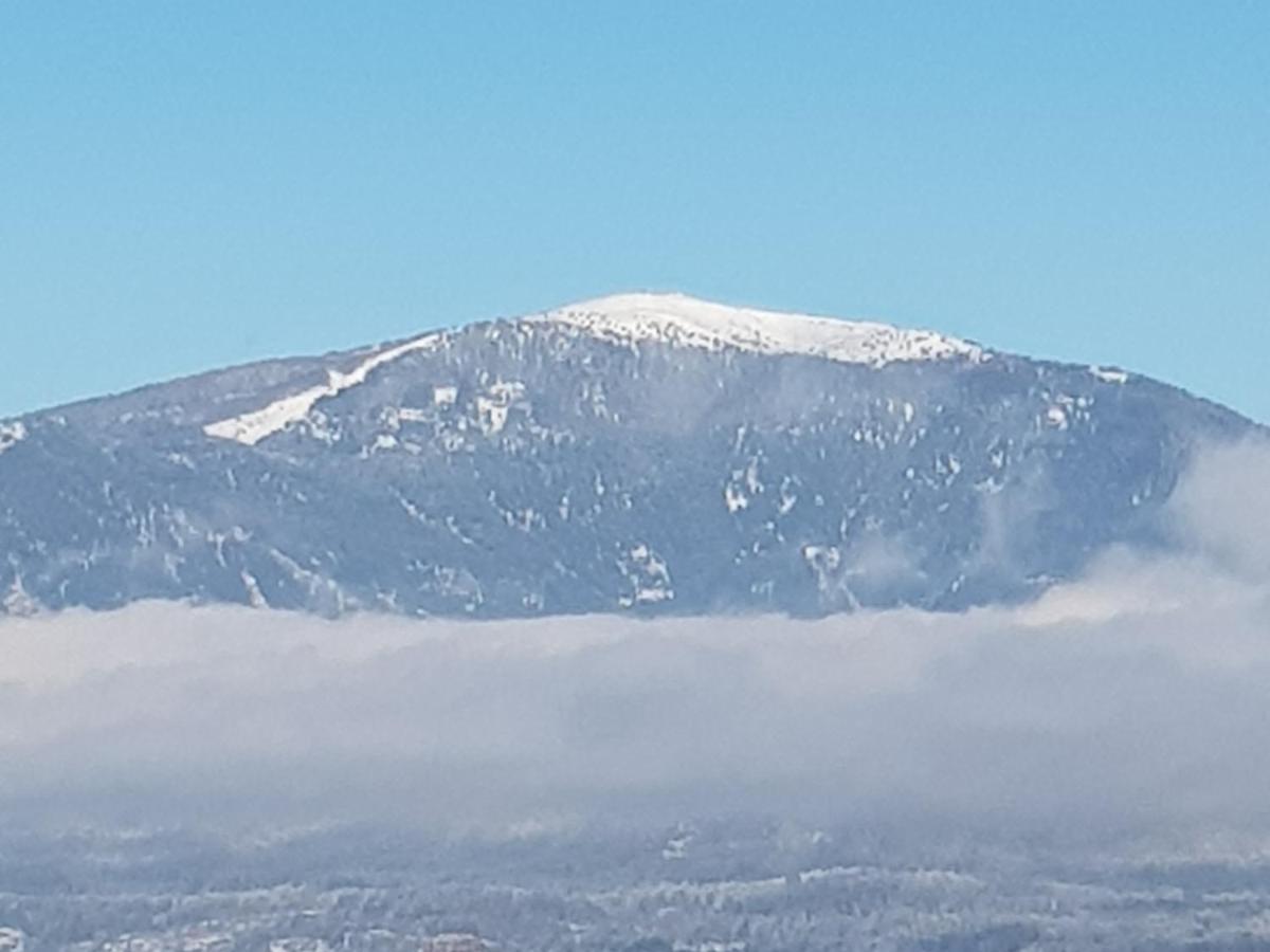 Alpe-Adria Apartments Chanel Top12 Oberaichwald  Εξωτερικό φωτογραφία